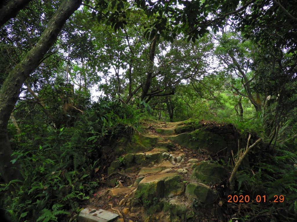 臺北市 文山 中埔山東峰_817231