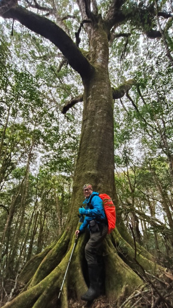 李棟山泰平山走春20250131_2706974