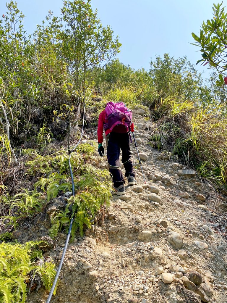 走一趟九九峰制高點 2021/3/9_1300432