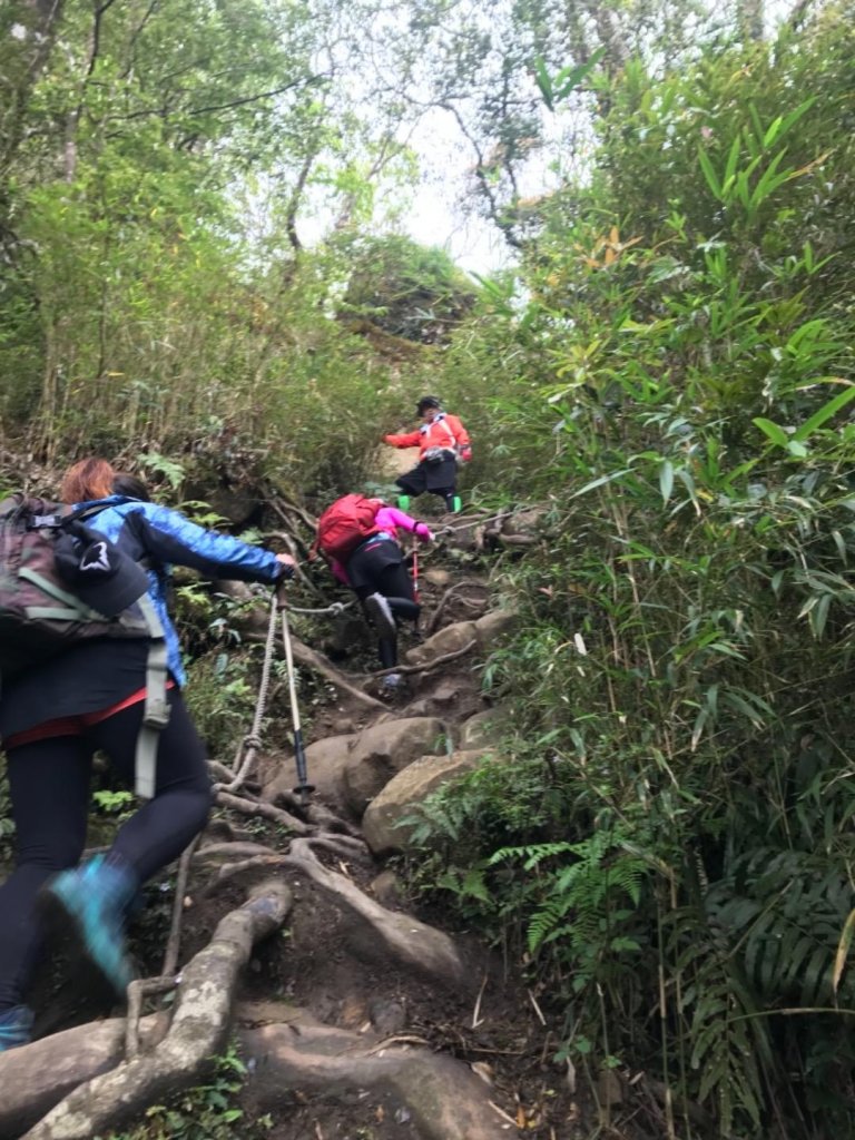 苗栗加里山登山步道_428720