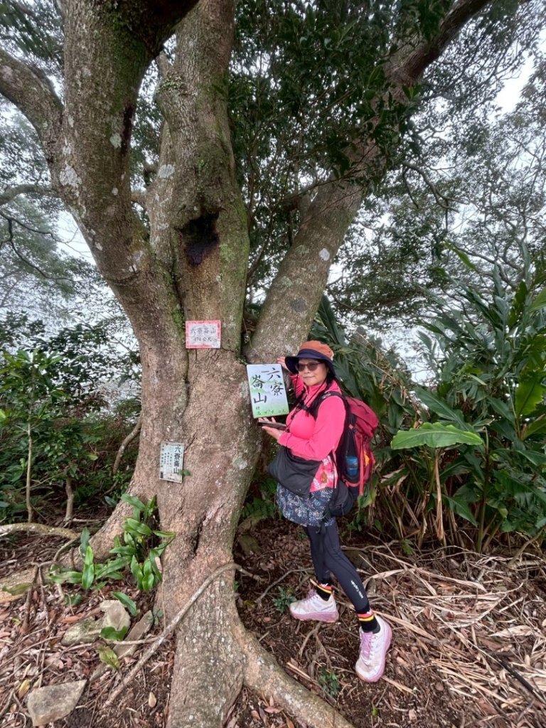紫微聖母環山步道走六寮崙山與西南峰_2989174