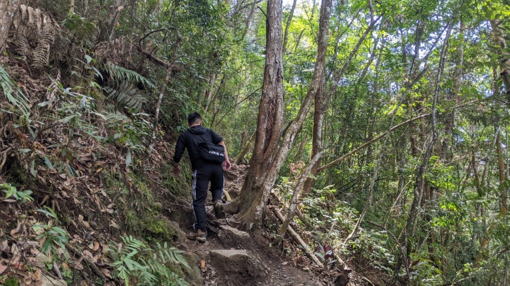 蝴蝶谷瀑布步道｜唐麻丹山登山步道 (松鶴部落上)_1900089