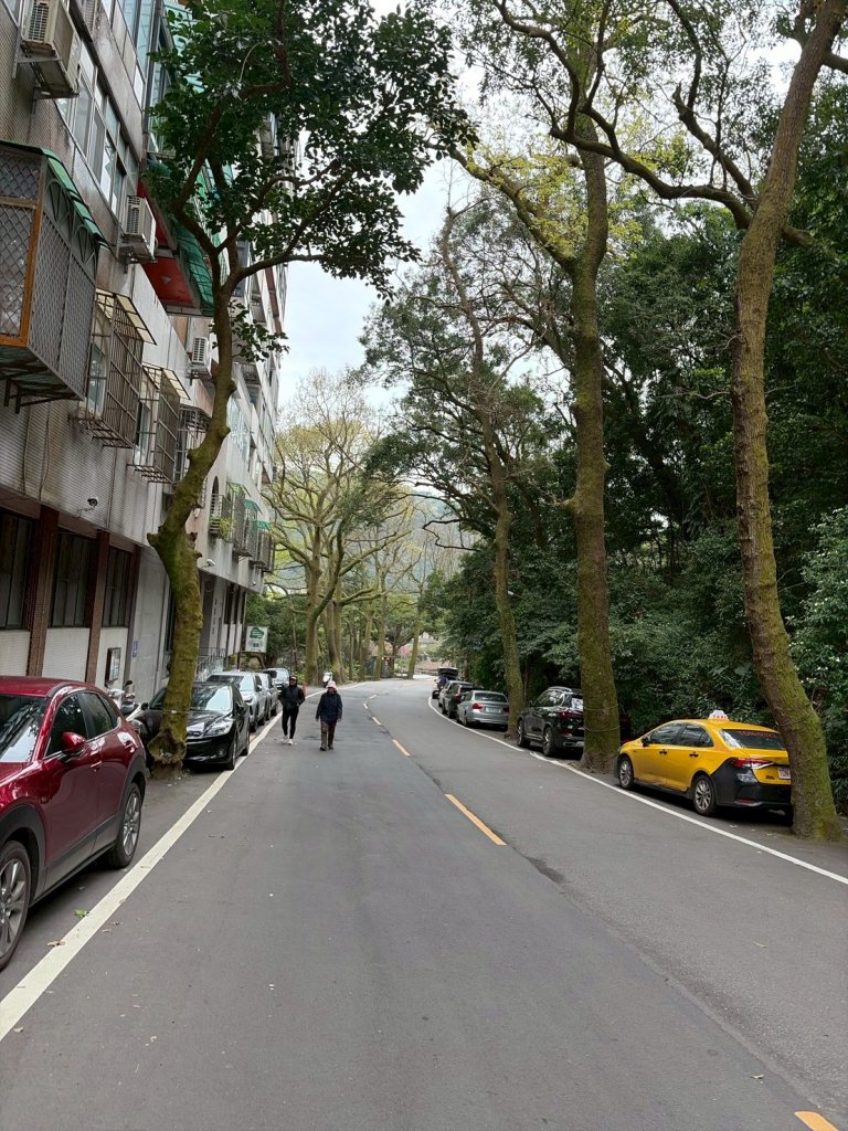 台北 北投 七星山主東峰苗圃線_3004632