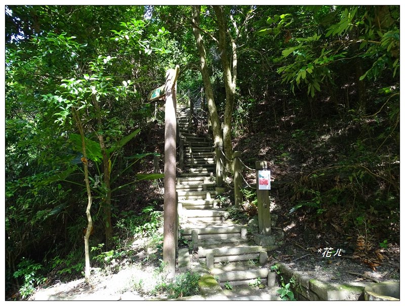 潭子/聚興山(小百岳)_631489