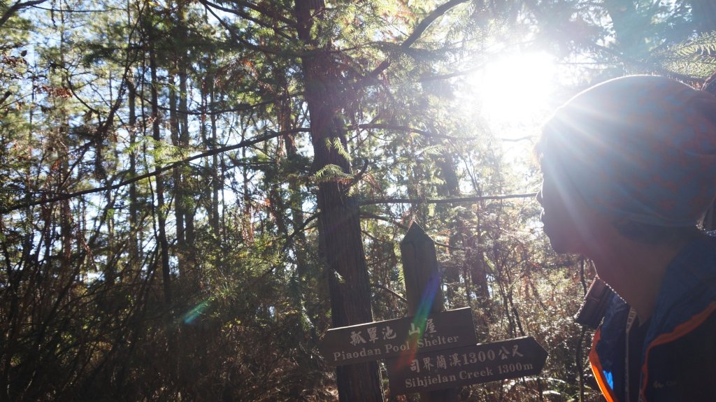 志佳陽雪山之毅_465958