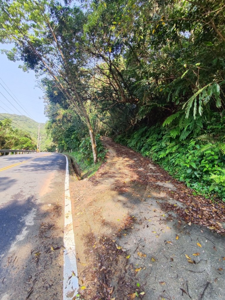 新山夢湖-友蚋山-友蚋南峰-五指山古道封面圖