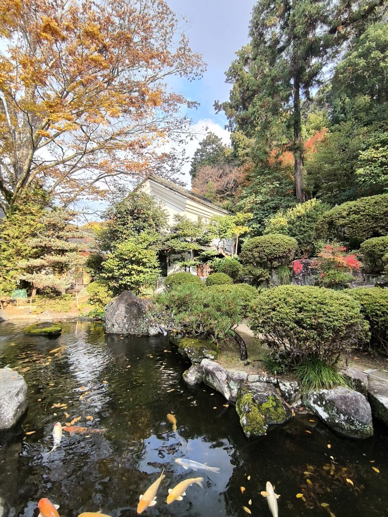 【日本健行】岡山、彥根 (近江八幡、彥根城)、姬路(書寫山圓教寺、世界遺產姬路城、好古園)_2946596