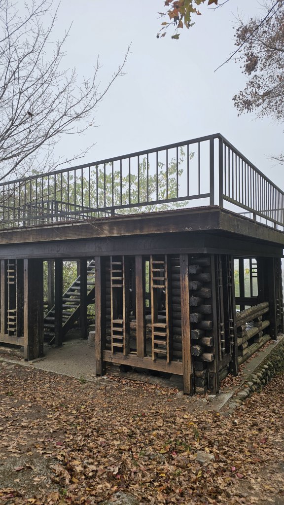 【馬年走馬山，馬到就成功！】🐴馬年馬路要走，馬那邦🏔️也要登！O繞11K，爬升900M，🥾腿在_2977174