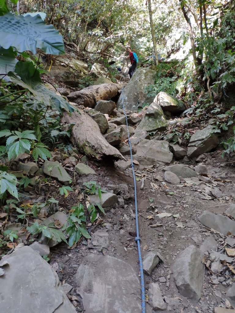 苗栗虎山_水雲三星之首_1193911