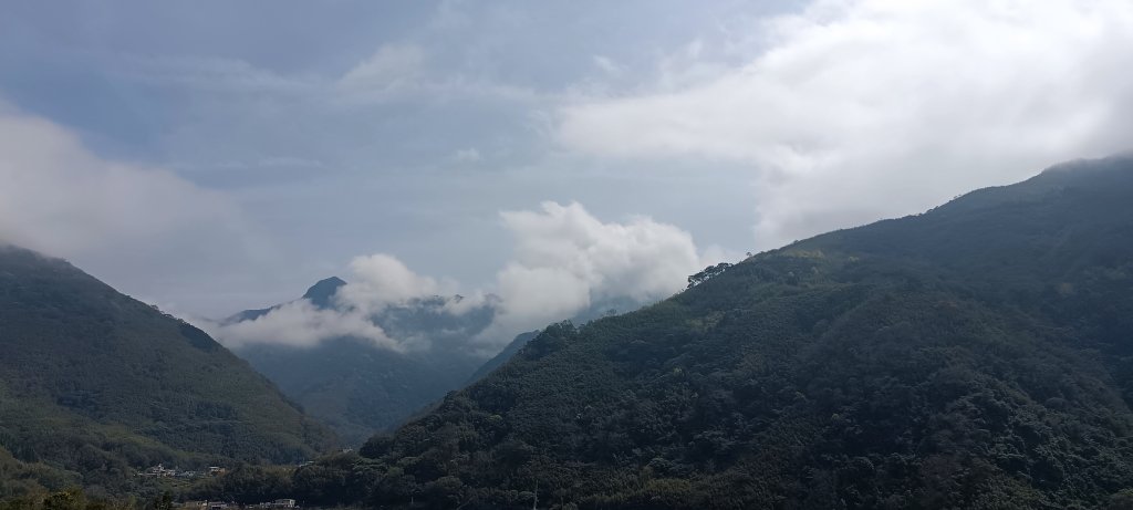 20240228_那羅山步道_2441059