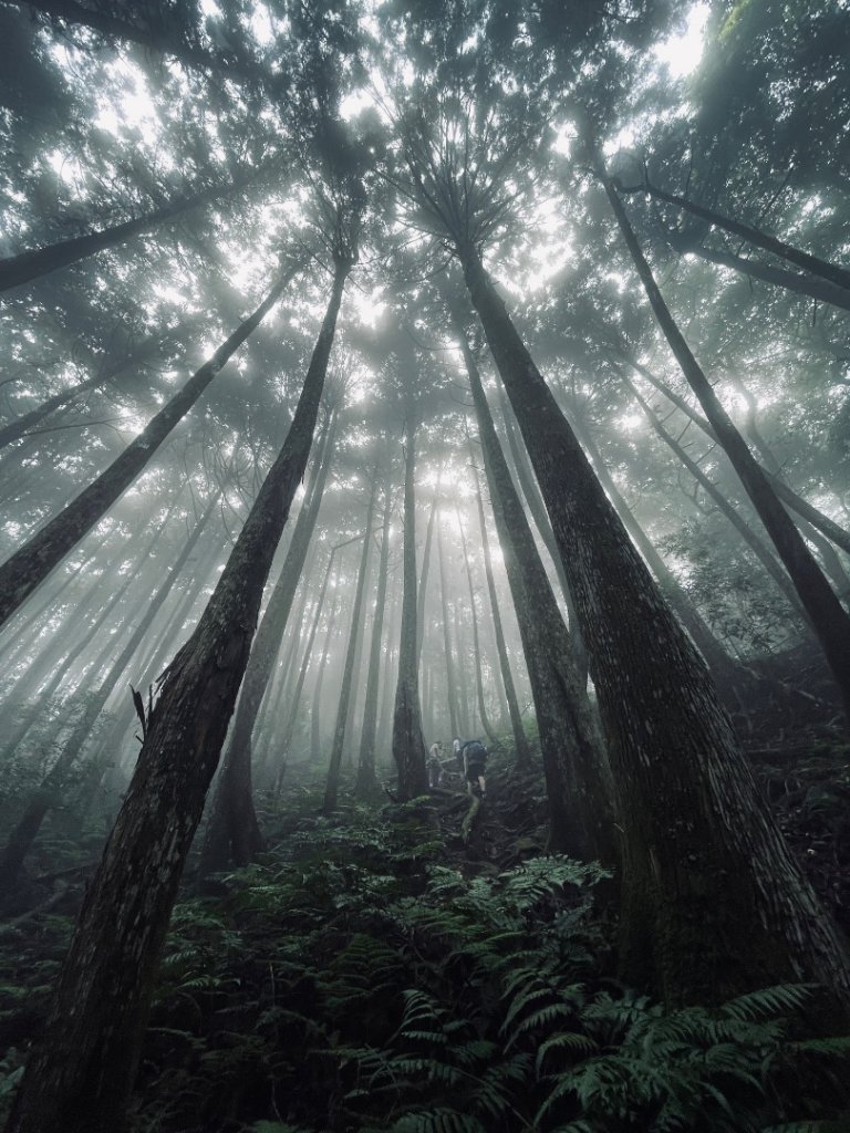 油羅山 2025 09/13封面圖