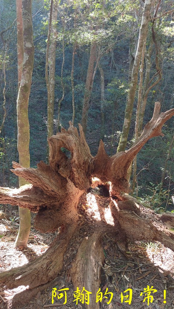 高島縱走_2686940