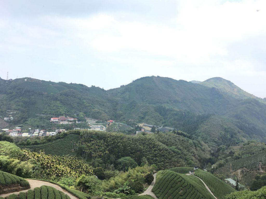 雲嘉八連峰_389215