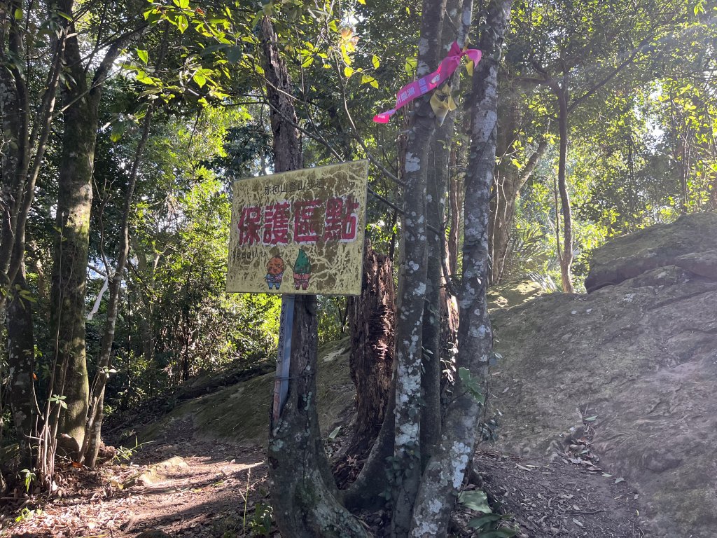 [森遊竹縣-10A/10] 2023_1112 東獅頭山_2347219