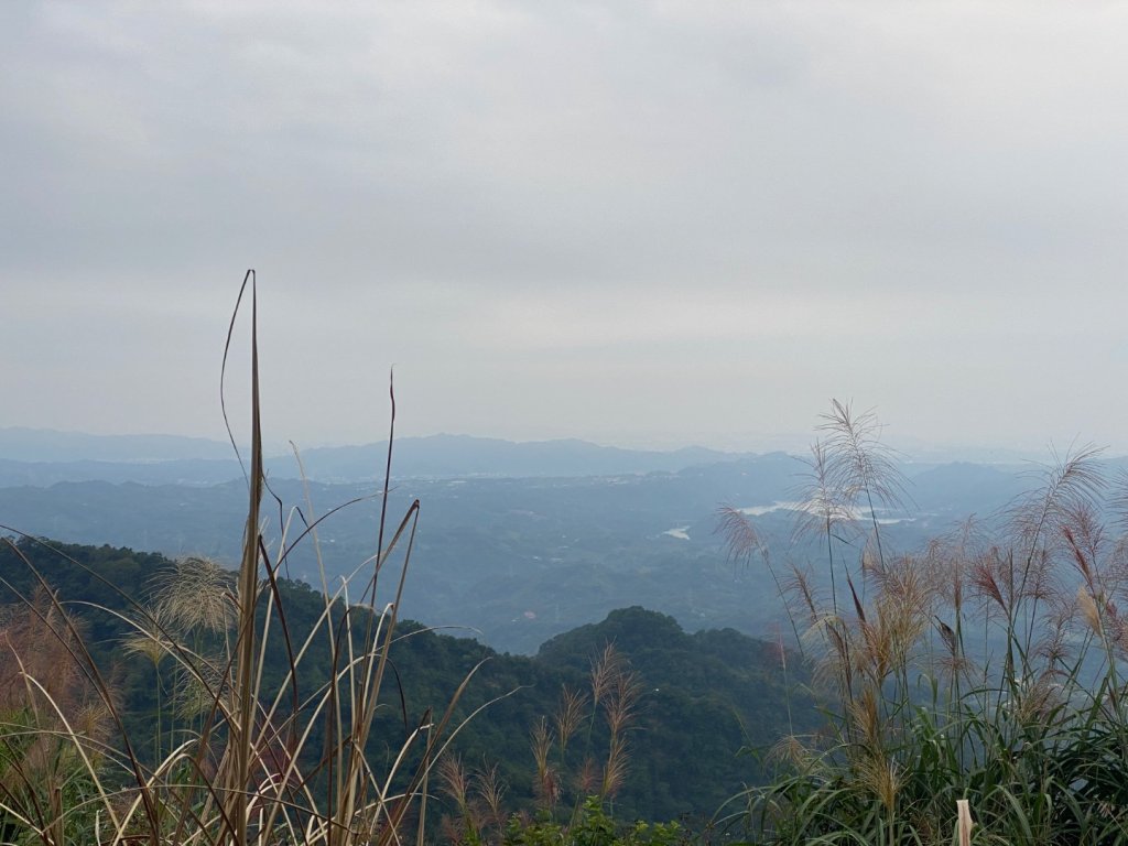 037苗栗泰安-馬那邦山_2604654