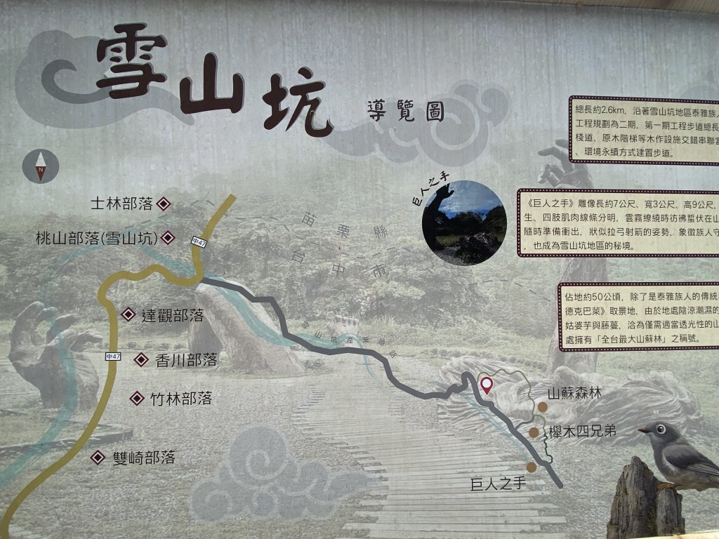《雪山坑登山步道｜巨人之手森林秘境 Xueshankeng Hiking Trail & Giant_2971052
