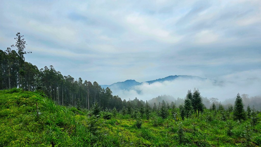 112.04.08 油羅山_2123537