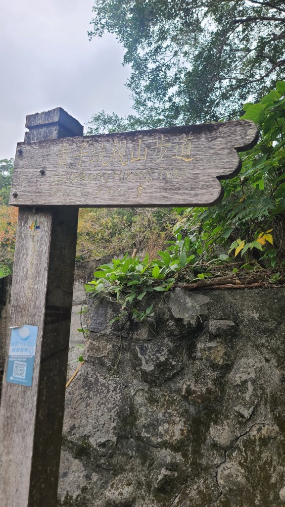 2026-0116 大屯三山_貴子坑_北投_2984789