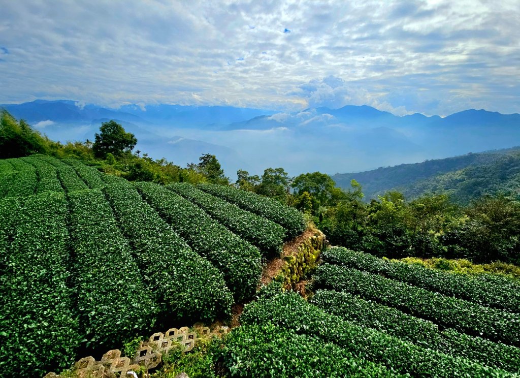 挑筍古道(大尖山、後棟仔山步道)--(雲林)臺灣百大必訪步道_2955753
