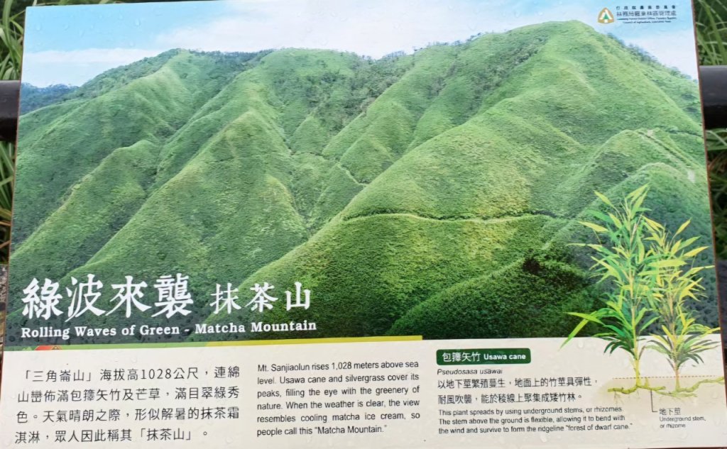 【中級山】宜蘭抹茶山（三角崙山），聖母登山步道，五峰旗瀑布_2741060
