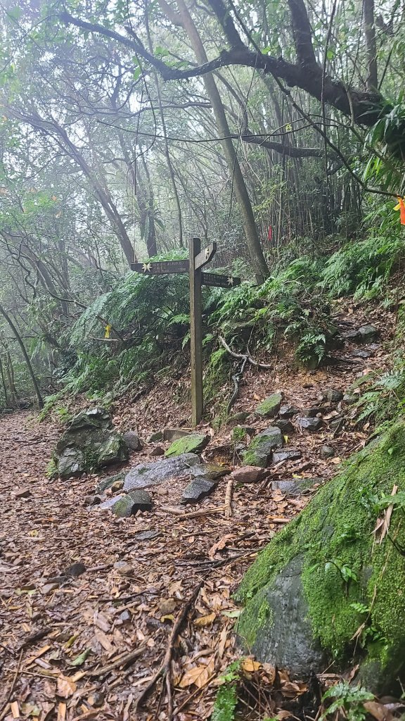 2025-01232淡蘭古道北二段(燦光寮古道到澳底)_2696587