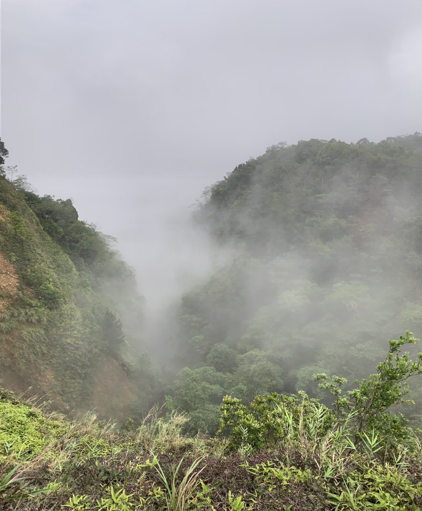 20250426苗栗火炎山_2772882