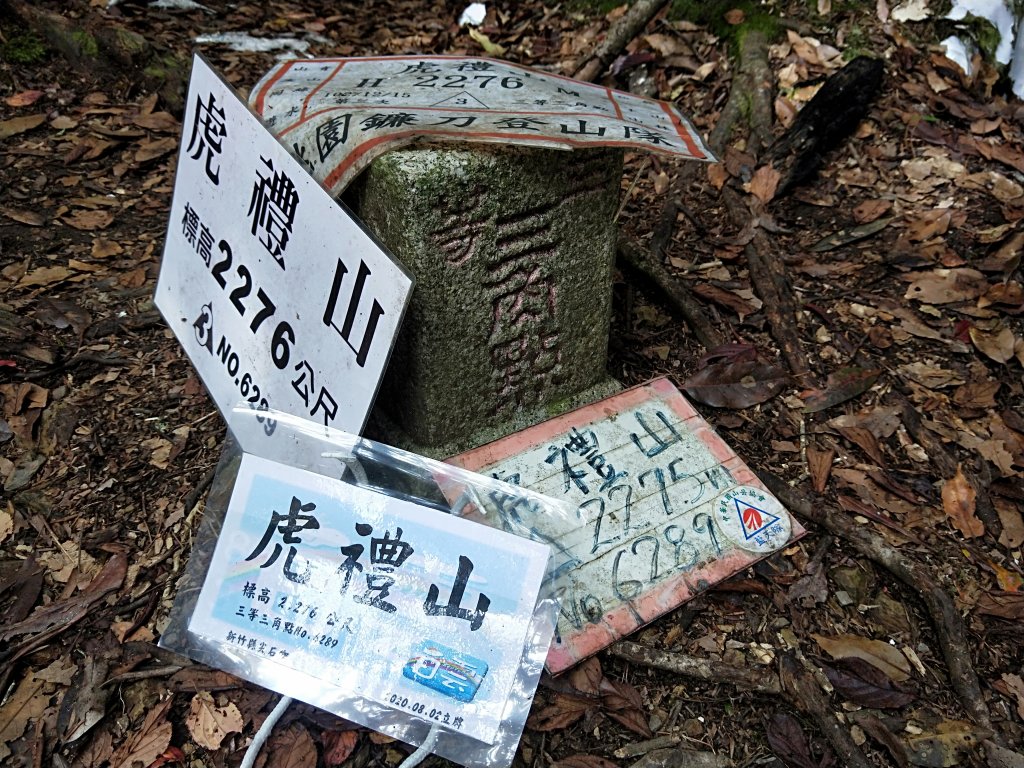 202010 尖石石磊虎禮山初禮驗_1115876