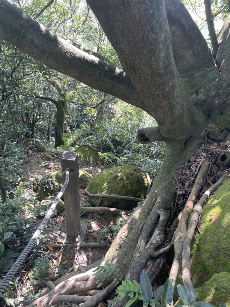 【鳶山山系】鳶山彩壁_2858086