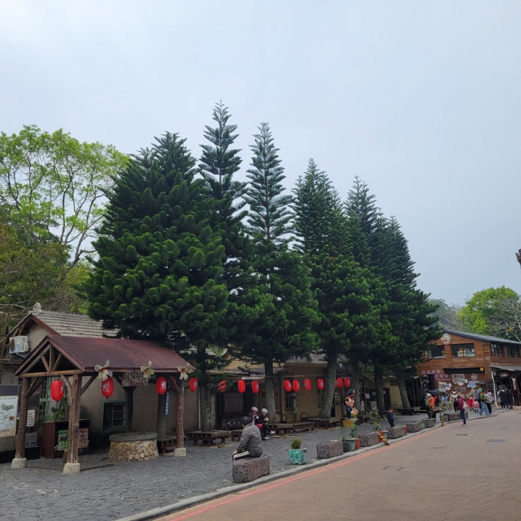 挑柴古道_2448256