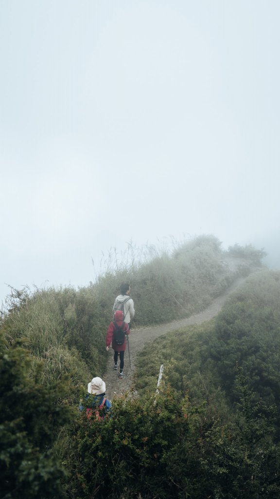 南橫百岳—關山嶺山_2384059