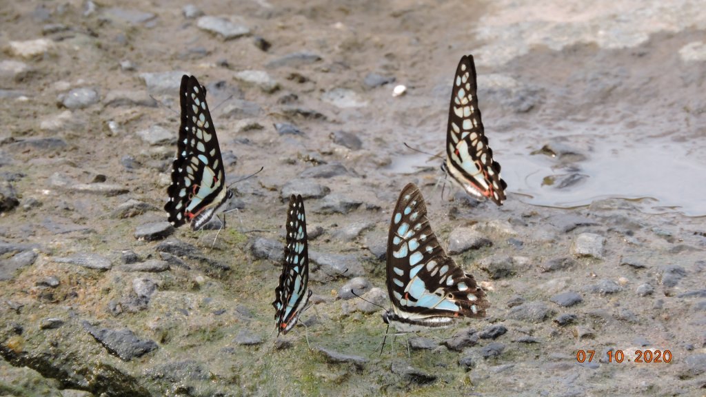 就是喜歡這個藍天白雲的FU_1028393