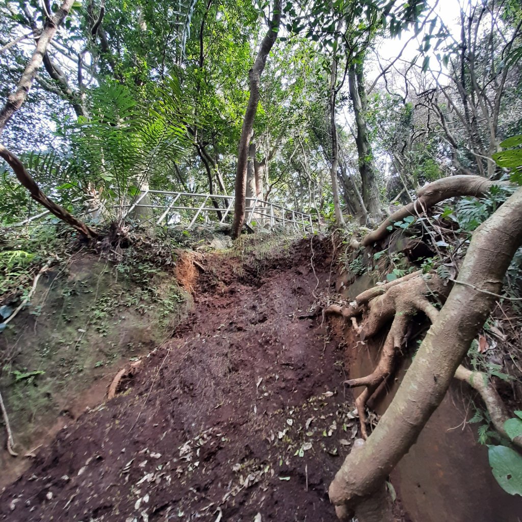 臺北大縱走6：中華科技至拇指山妙台稜徑_1239833