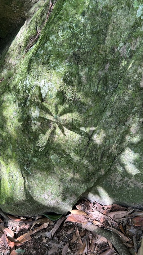 南庄鵝公髻山東河線封面圖