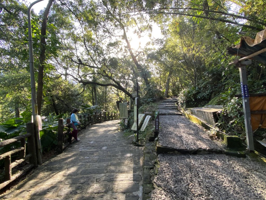 2025微笑山線大縱走尋寶集章任務-Ep.04【天上山系】望月亭桐花段｜石門內尖山東峰 ×石門內尖山_2979066