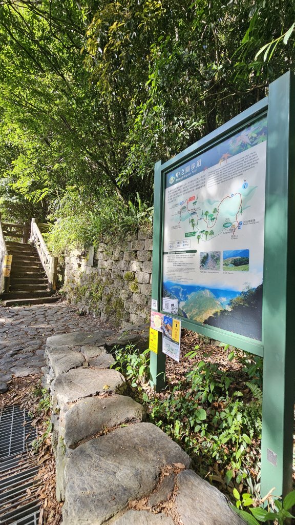 【被遺忘的南橫仙境】中之關、天池步道O繞10K_2798178