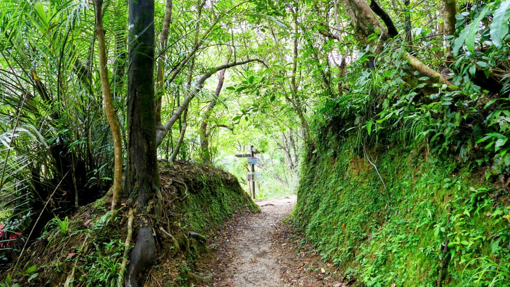 三貂嶺瀑布群,野人谷瀑布群_2832474