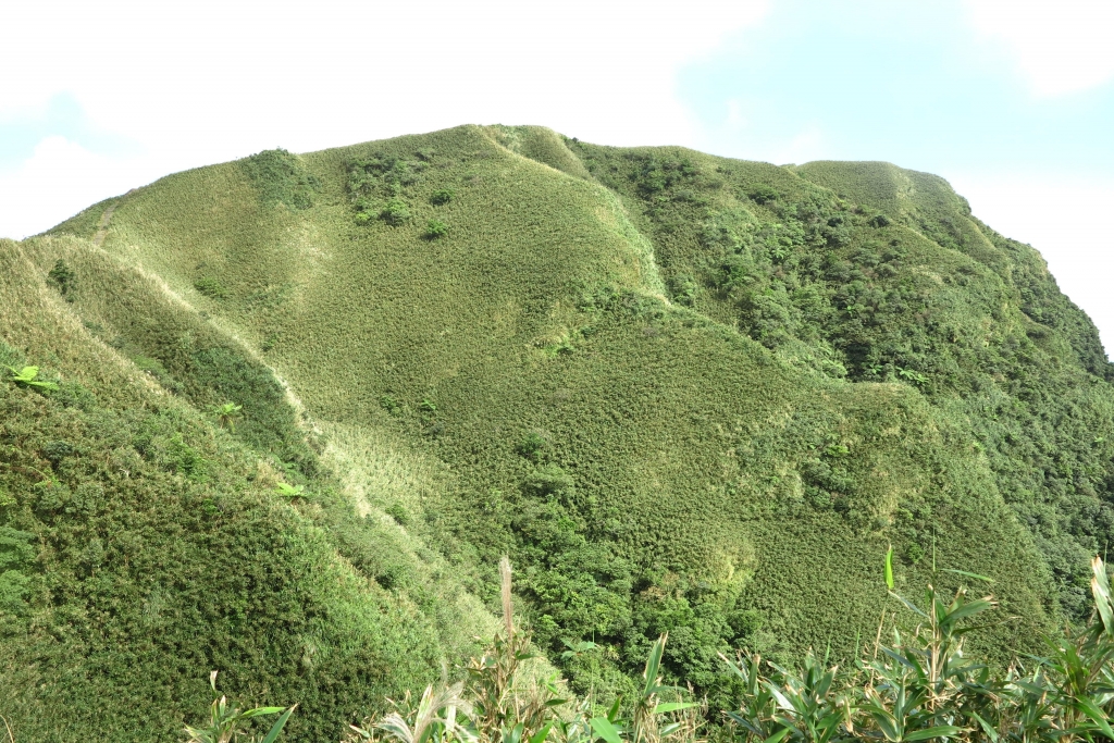 桃源谷步道_3477