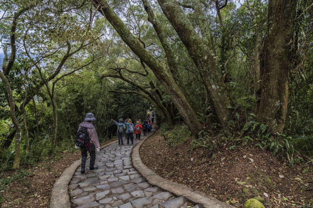 2020飛鳳山(樟之細路副線)_1407935