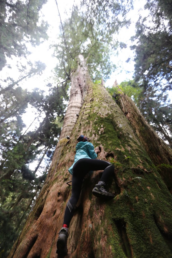 水樣森林 第一次在山裡過夜_659393