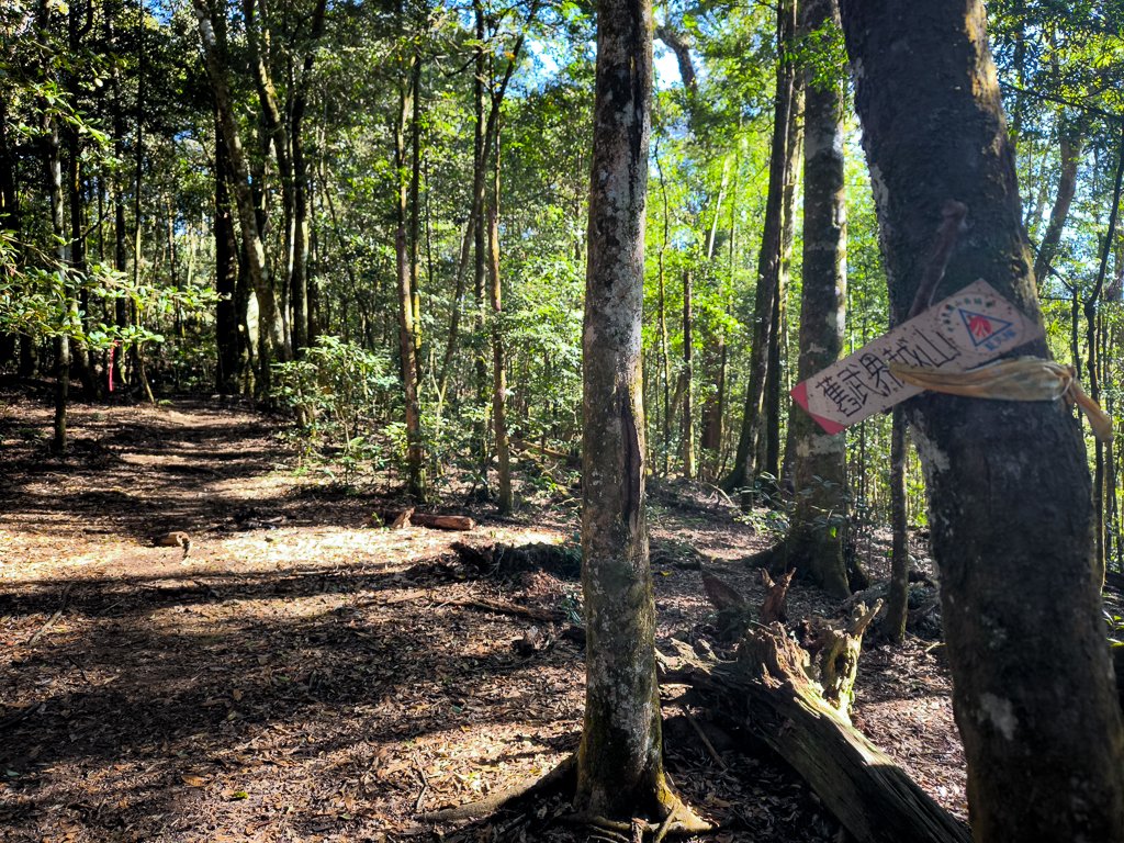 2025-12-21 武界山、獅凸魯山、橫屏山、橫屏山西峰_2969687