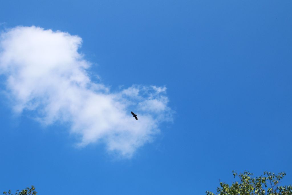 松羅國家步道_192592