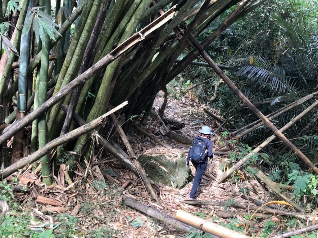 烏山步道走刣牛湖山_468609