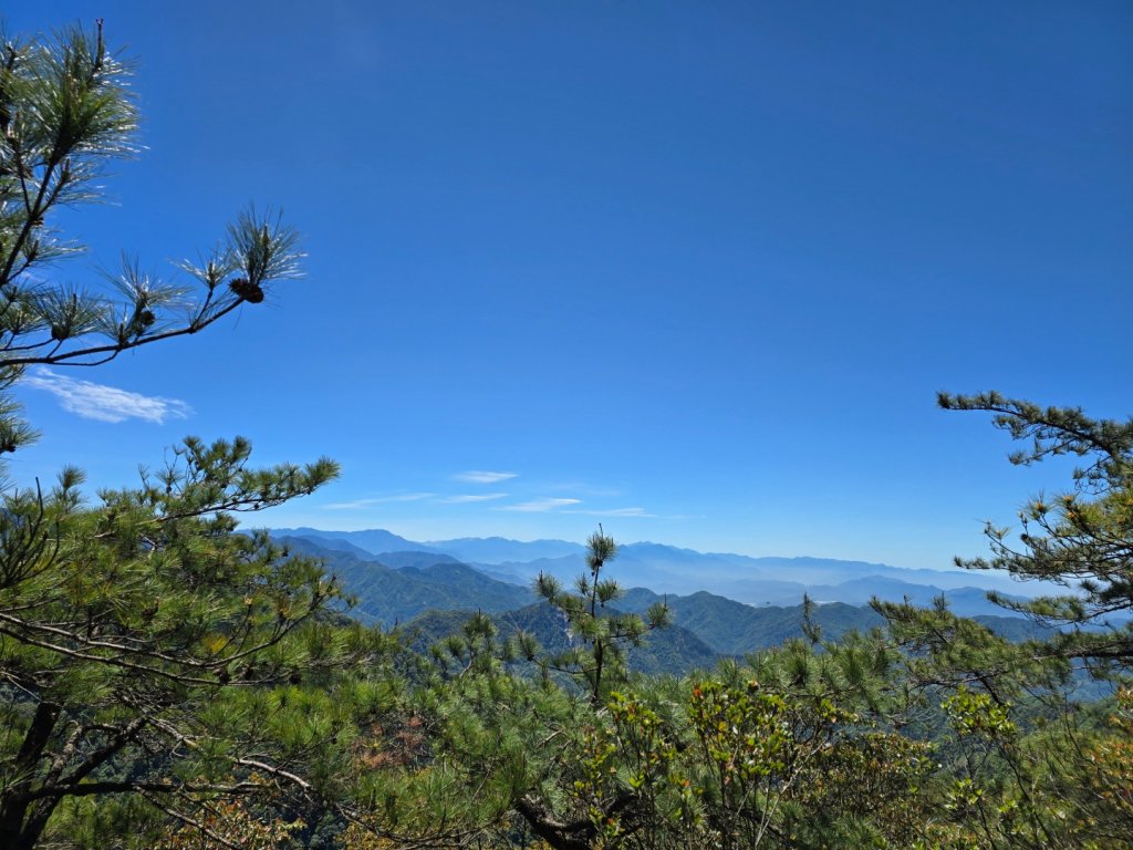 鳶嘴山杜鵑盛開封面圖