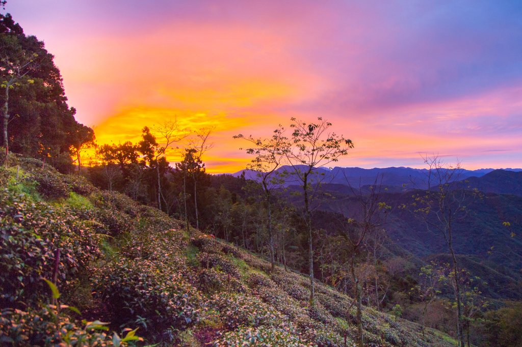 步道巡訪員 l 四大天王山步道第11巡～_1177750