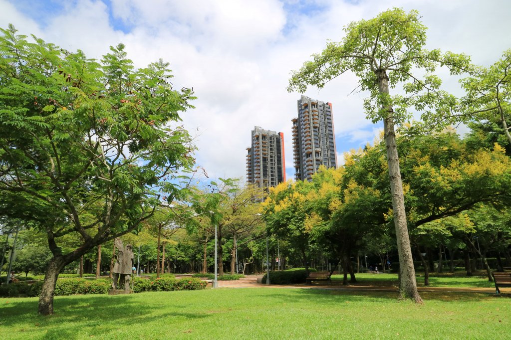 「都市之肺」大安森林公園封面圖