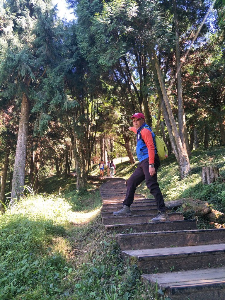 2020 10 28 東眼山自導式步道_1146700