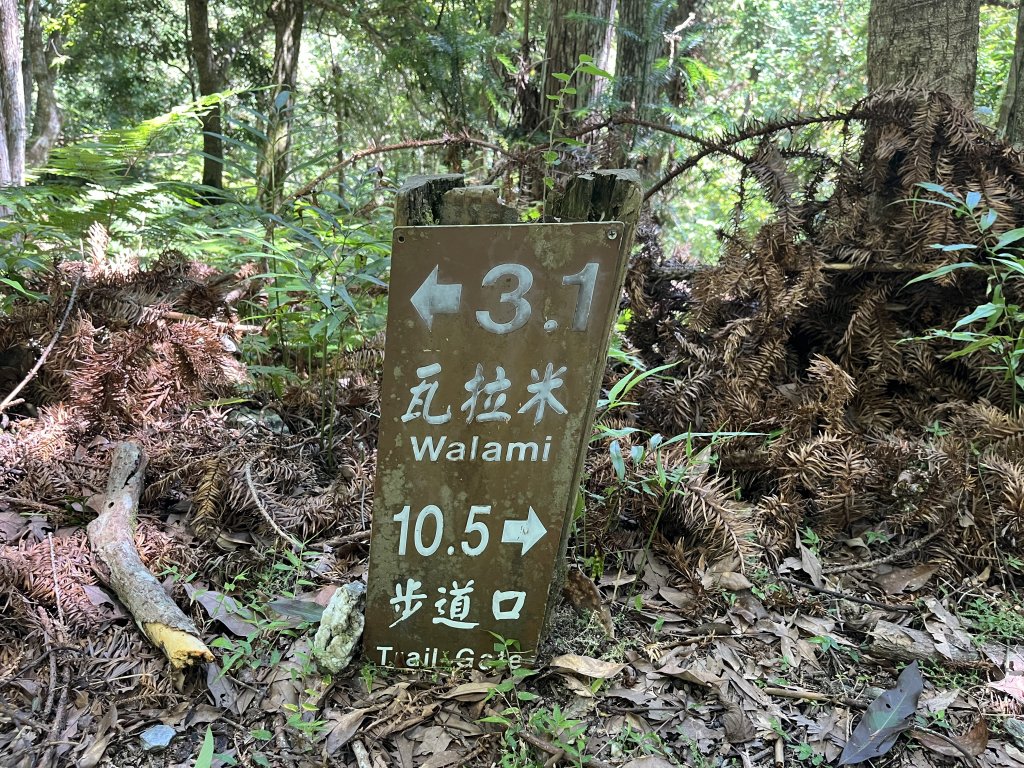 [玉山尋寶任務-03/12] 2025_0810 瓦拉米步道_2857748