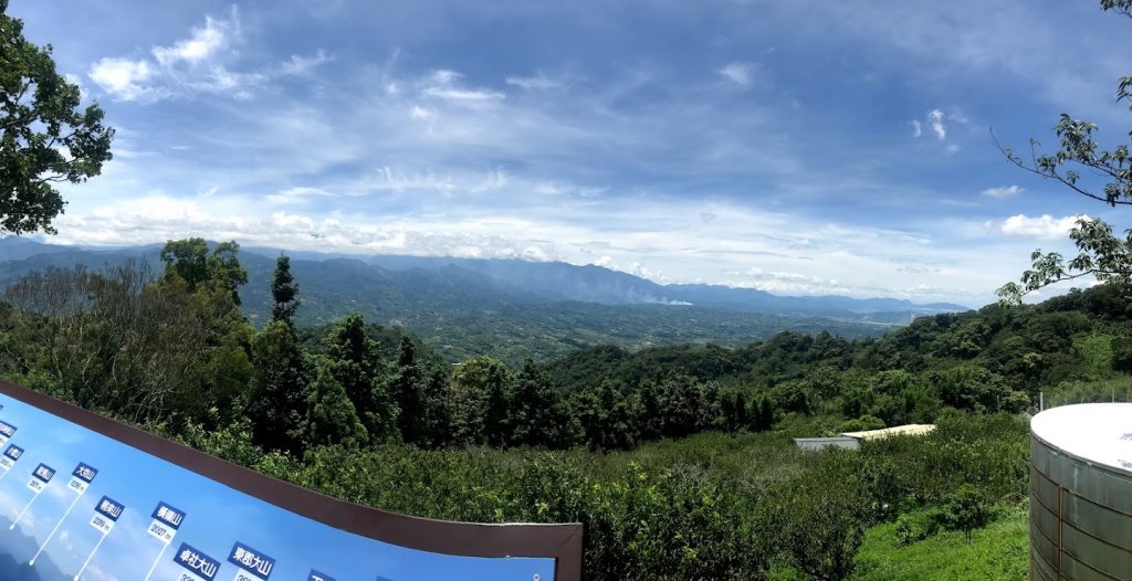 薑麻園桐花步道20200627_1965401