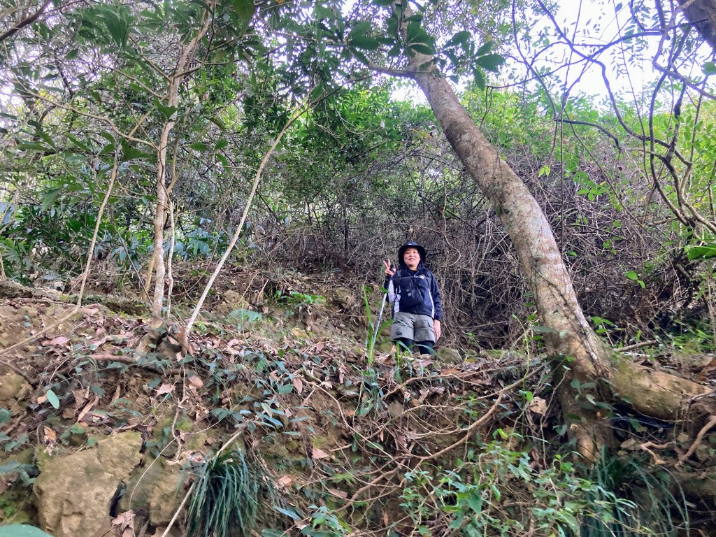九份二山登山步道_2688036