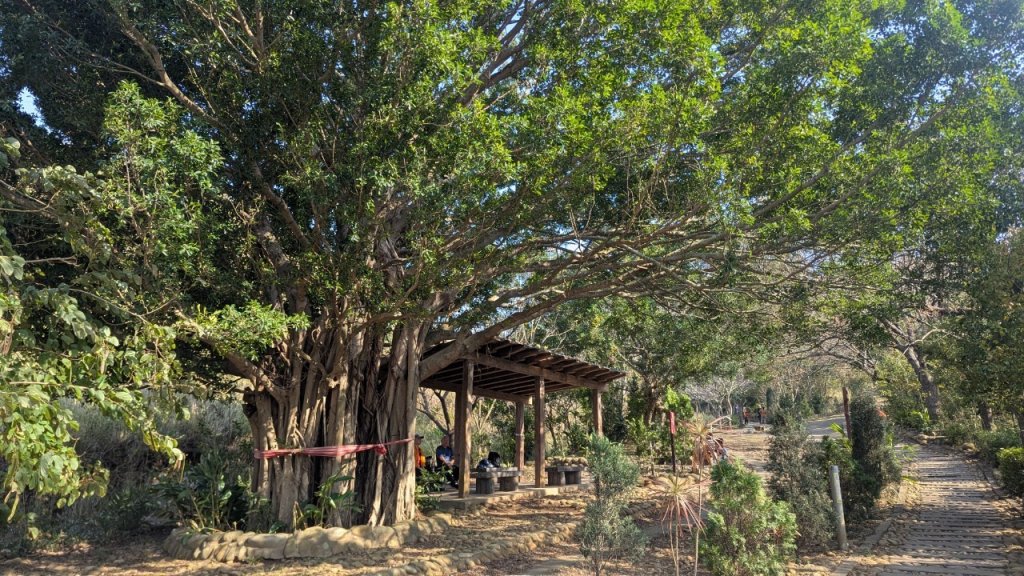 竹坑南寮登山步道封面圖